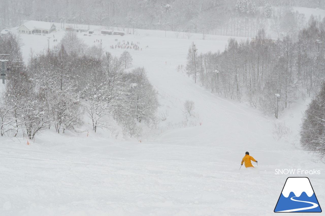 美唄国設スキー場 これぞ北海道のパウダースノー☆VECTOR GLIDE～CORDOVA～で最高の粉雪を滑る。